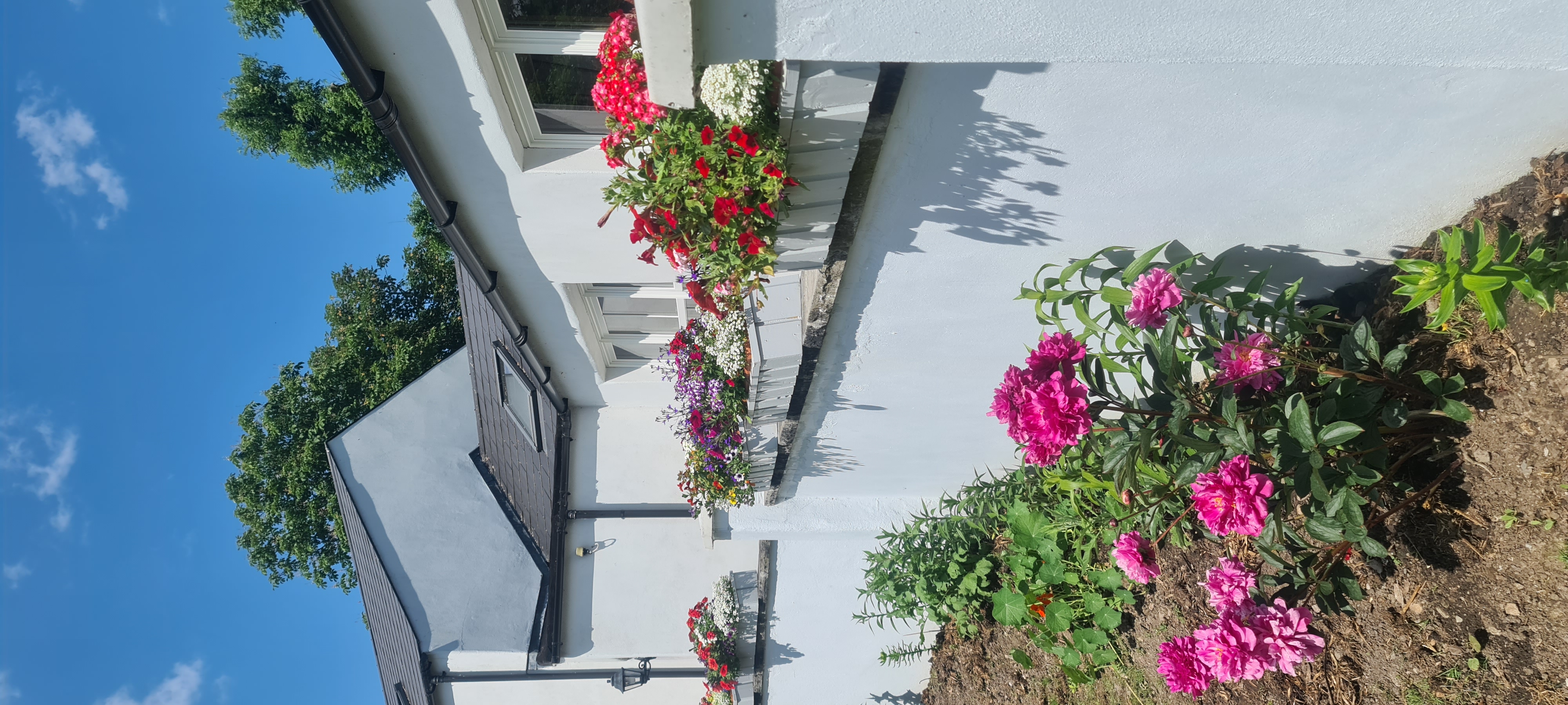 Flower boxes