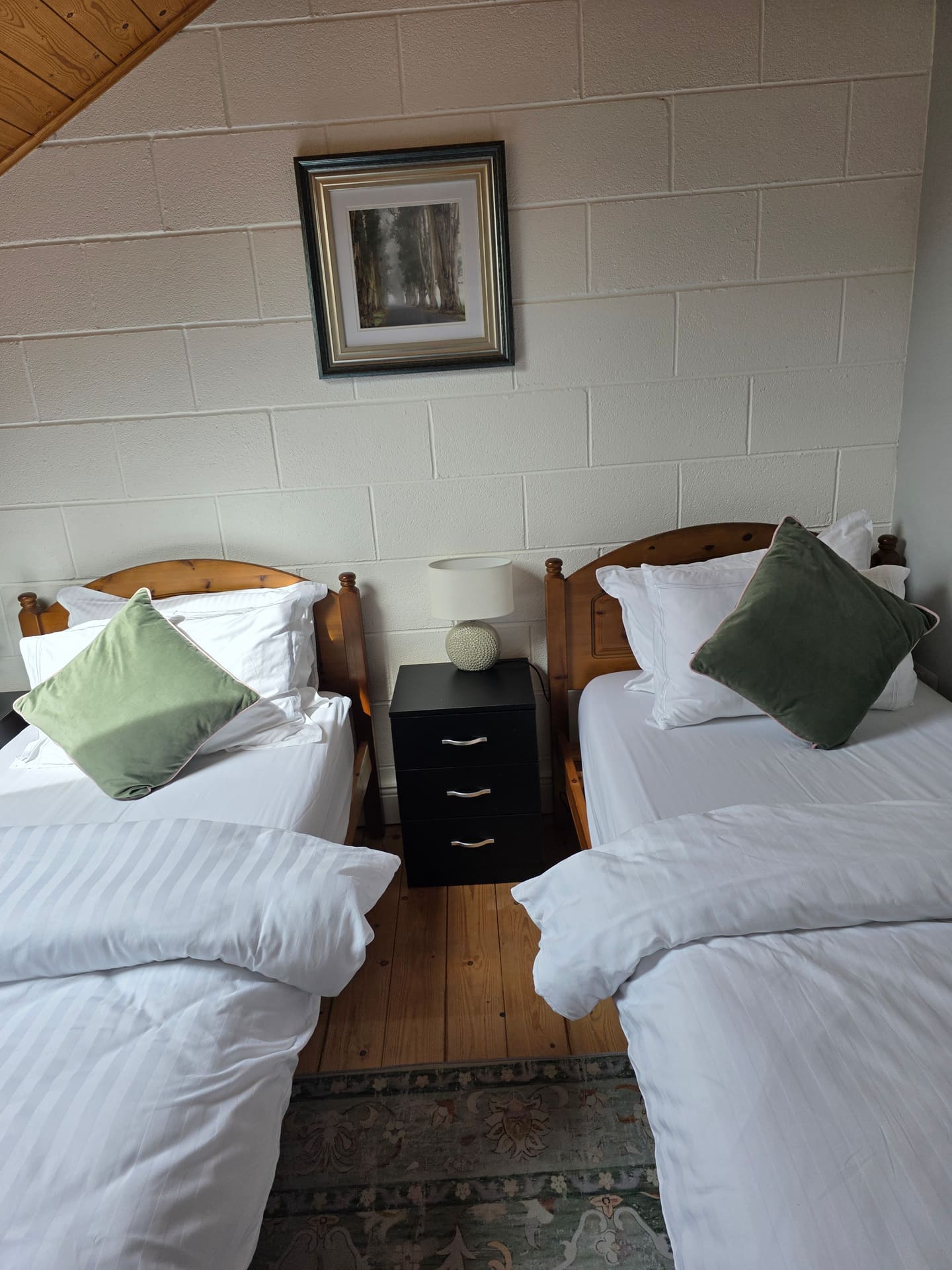 Twin room 1